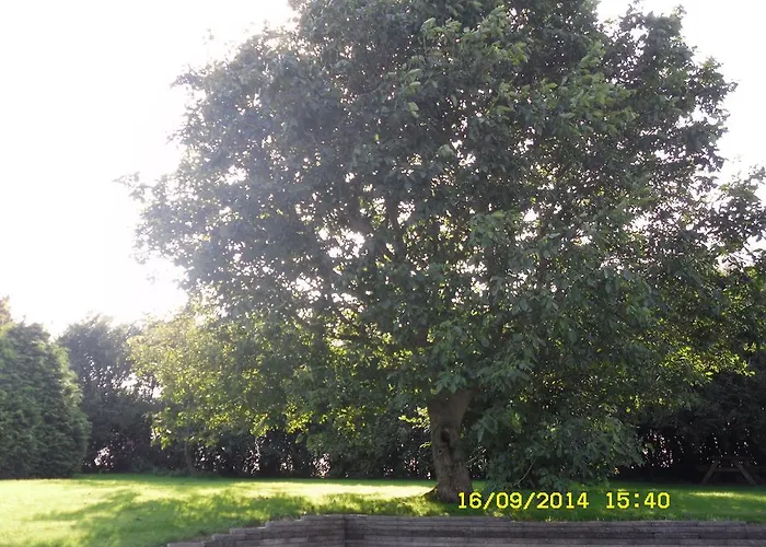 Hellesvang Apartment Guderup