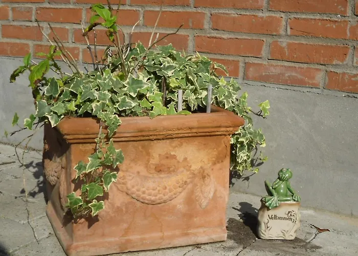 Hellesvang * Guderup