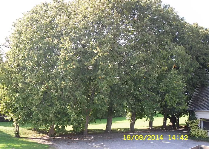 Apartment Hellesvang